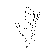 #598 Hand (stretched)